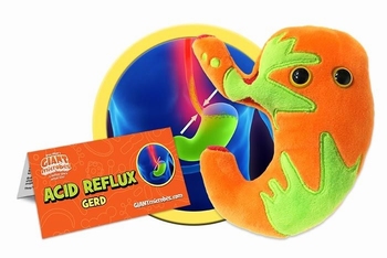 Acid Reflux