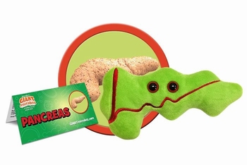 Pancreas