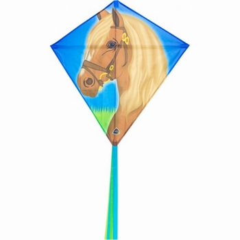 Eddy Horse