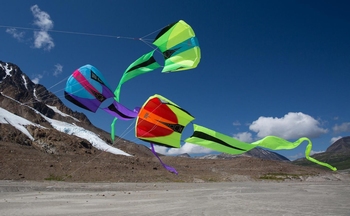 Pris Pocket Flyer ultraviolet