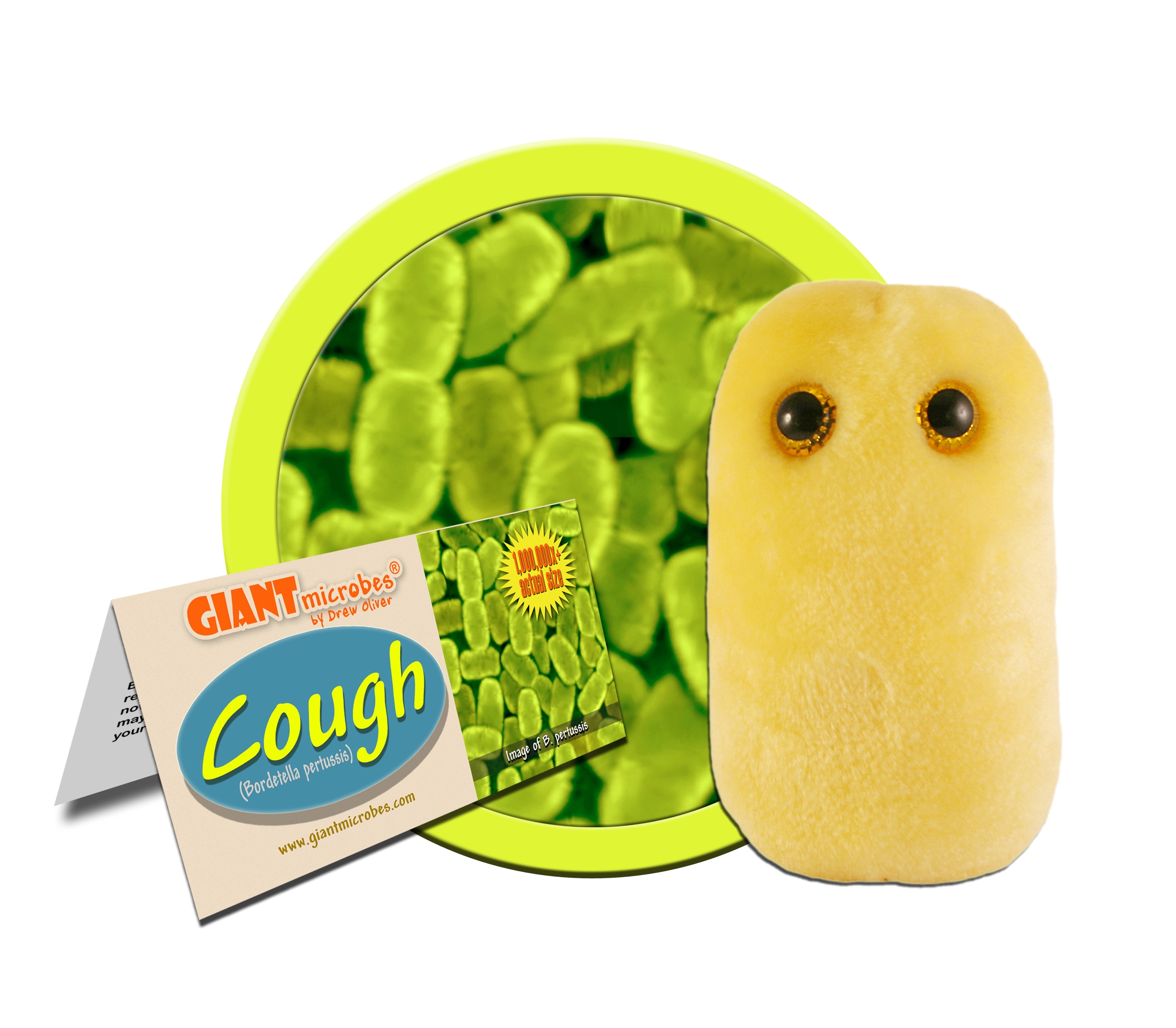 Diseases