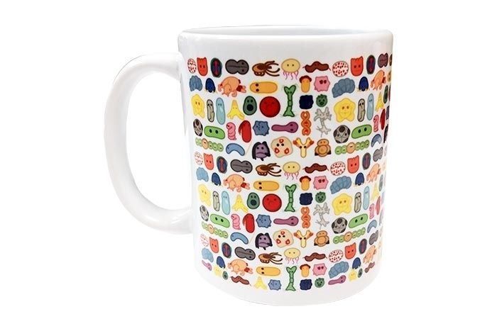 Merchandise